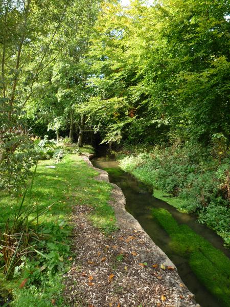 Dane Brook